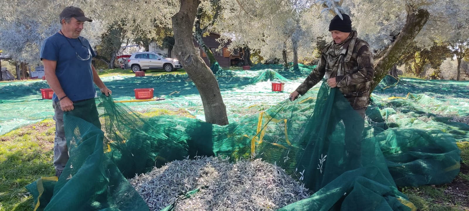 PHOTO 2025 04 28 12 12 26