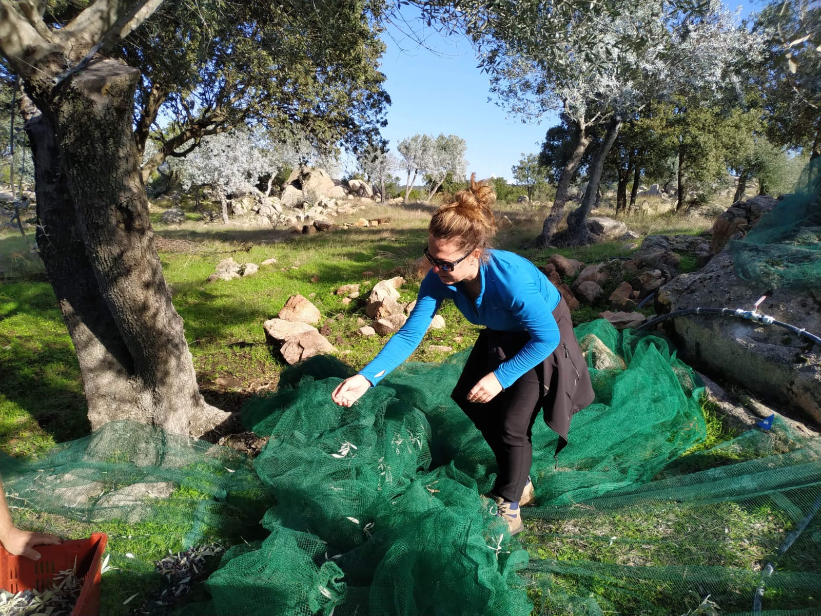 PHOTO 2025 04 28 12 12 24%204